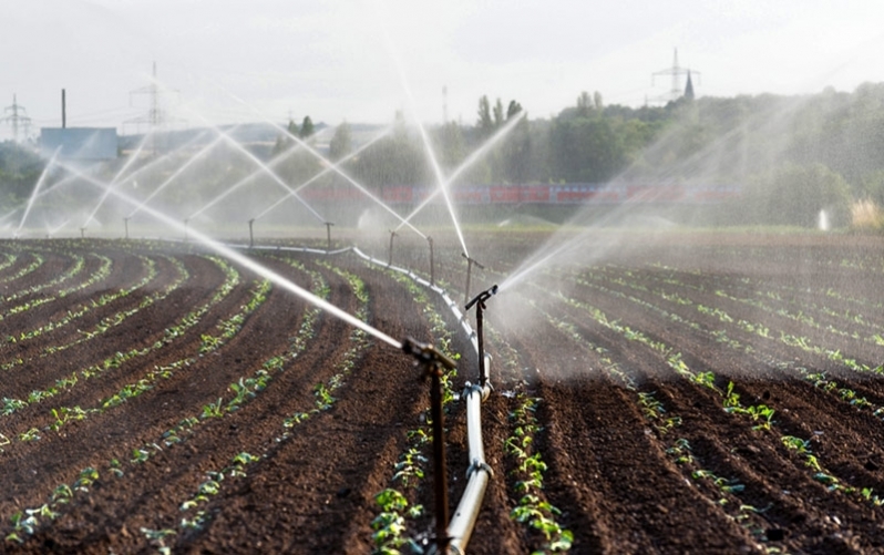 Aspersor Irrigação